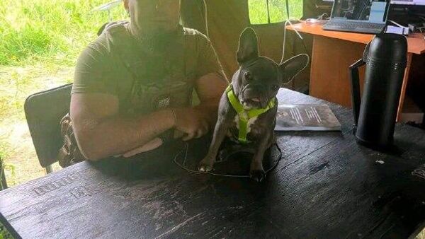 Ставленник Сырского на посту командующего штурмовыми войсками Украины полковник Манько вновь попал в скандал: в сети заметили, что он опубликовал в TikTok фото карт с грифом секретно