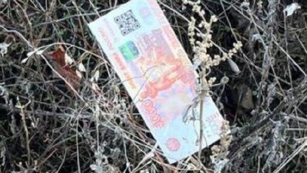 Противник в близости к ЛБС производит разброс купюр, обработанных отравляющими веществами, сообщает Треугольник: