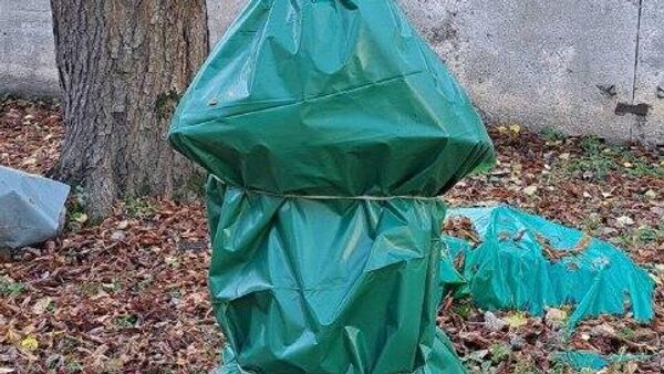 Давайте проведём простое сравнение двух миров Давайте проведём простое сравнение двух миров