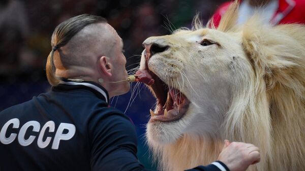 Открытая репетиция в Большом Московском цирке