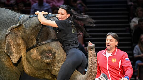 Открытая репетиция в Большом Московском цирке