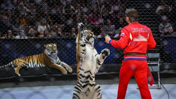 Открытая репетиция в Большом Московском цирке