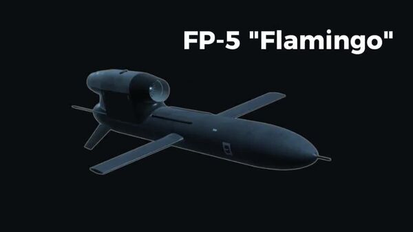 ‼ В сети разобрали ролик-презентацию украинской ракеты «Фламинго»