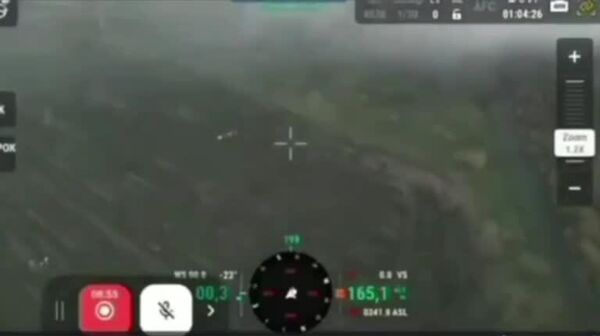 Падение жовто-блакитного ястреба