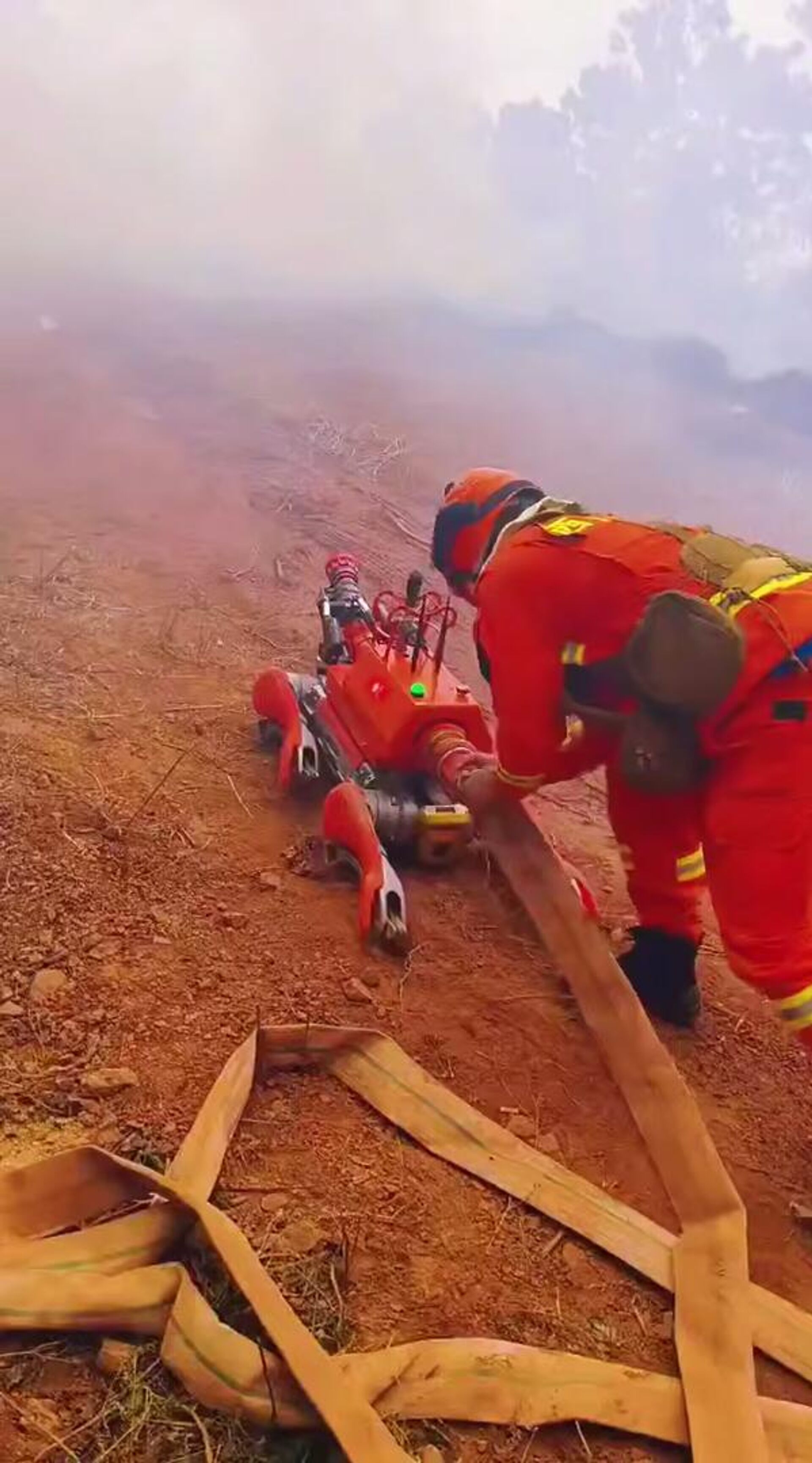   - РИА Новости, 1920, 07.11.2025