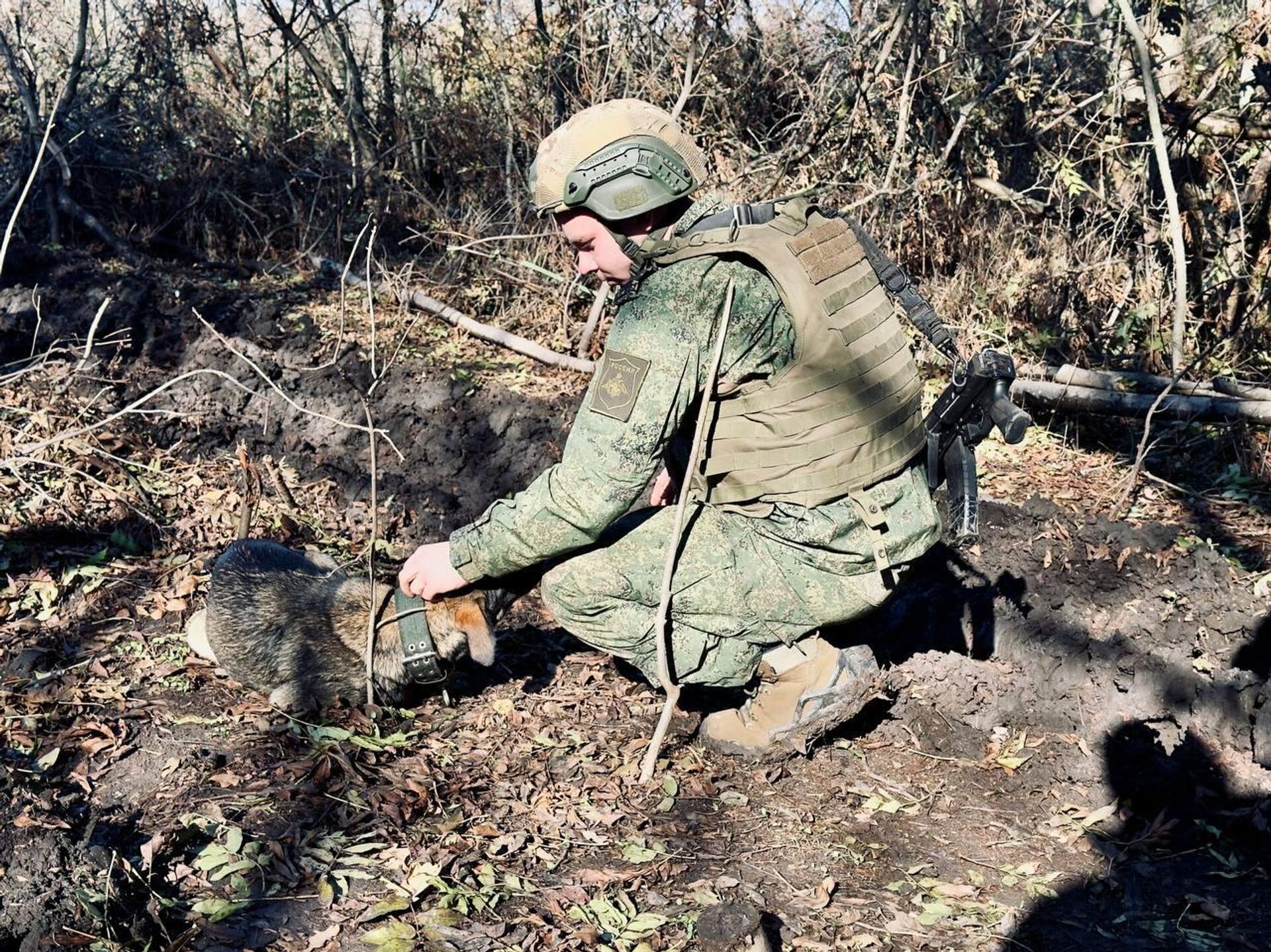 Где-то в зоне проведения СВО - РИА Новости, 1920, 09.11.2025