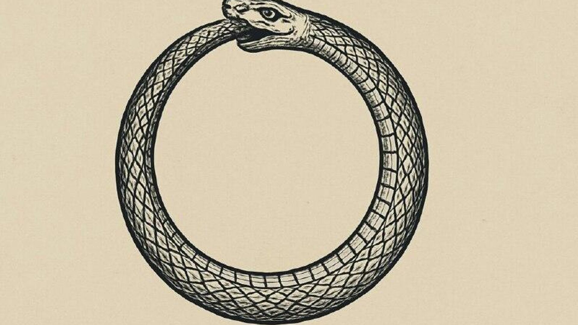 Кошелёк Зеленского и его соратник Тимур Миндич попал в базу украинского сайта Миротворец - РИА Новости, 1920, 10.11.2025