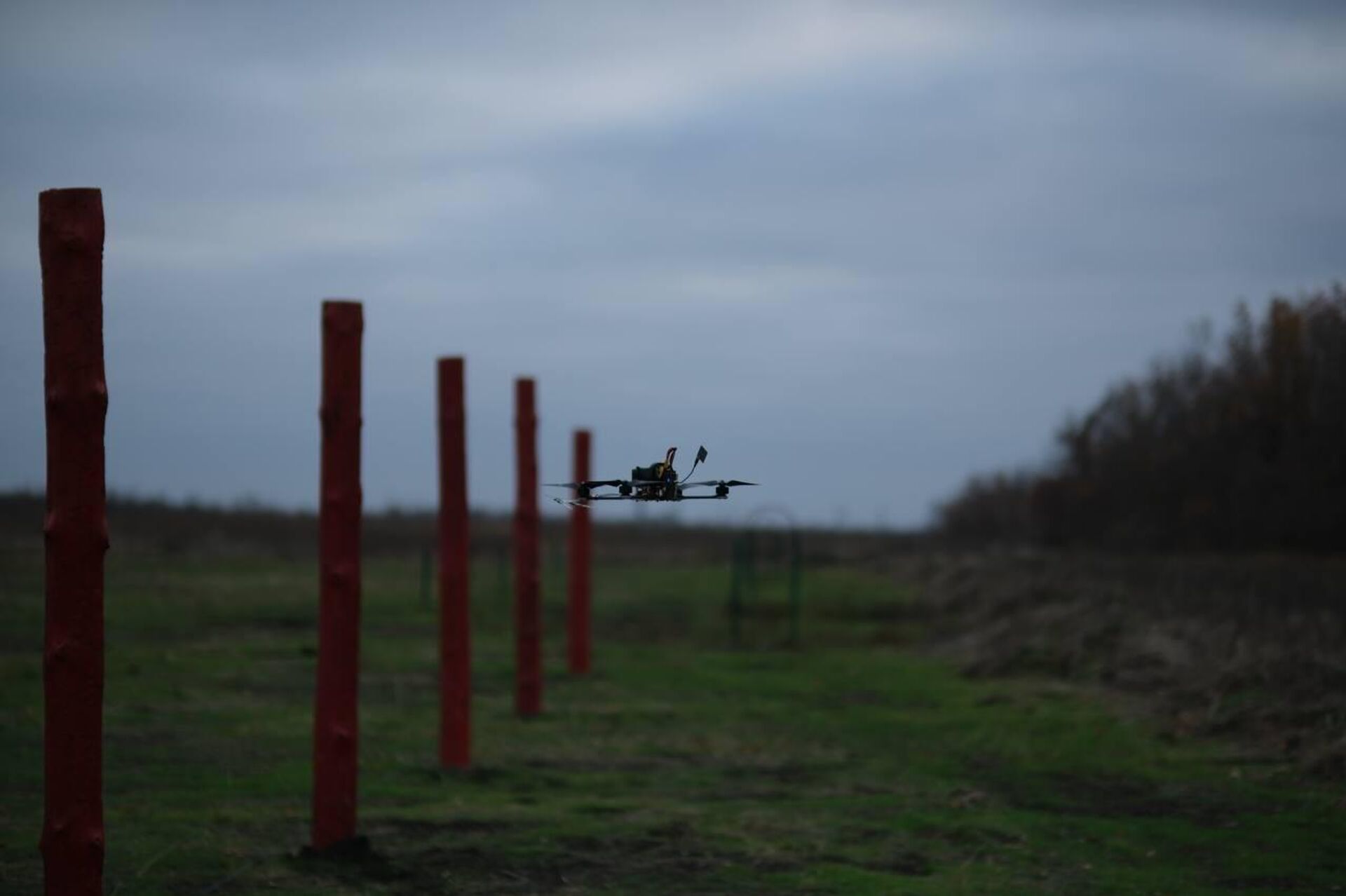   - РИА Новости, 1920, 12.11.2025