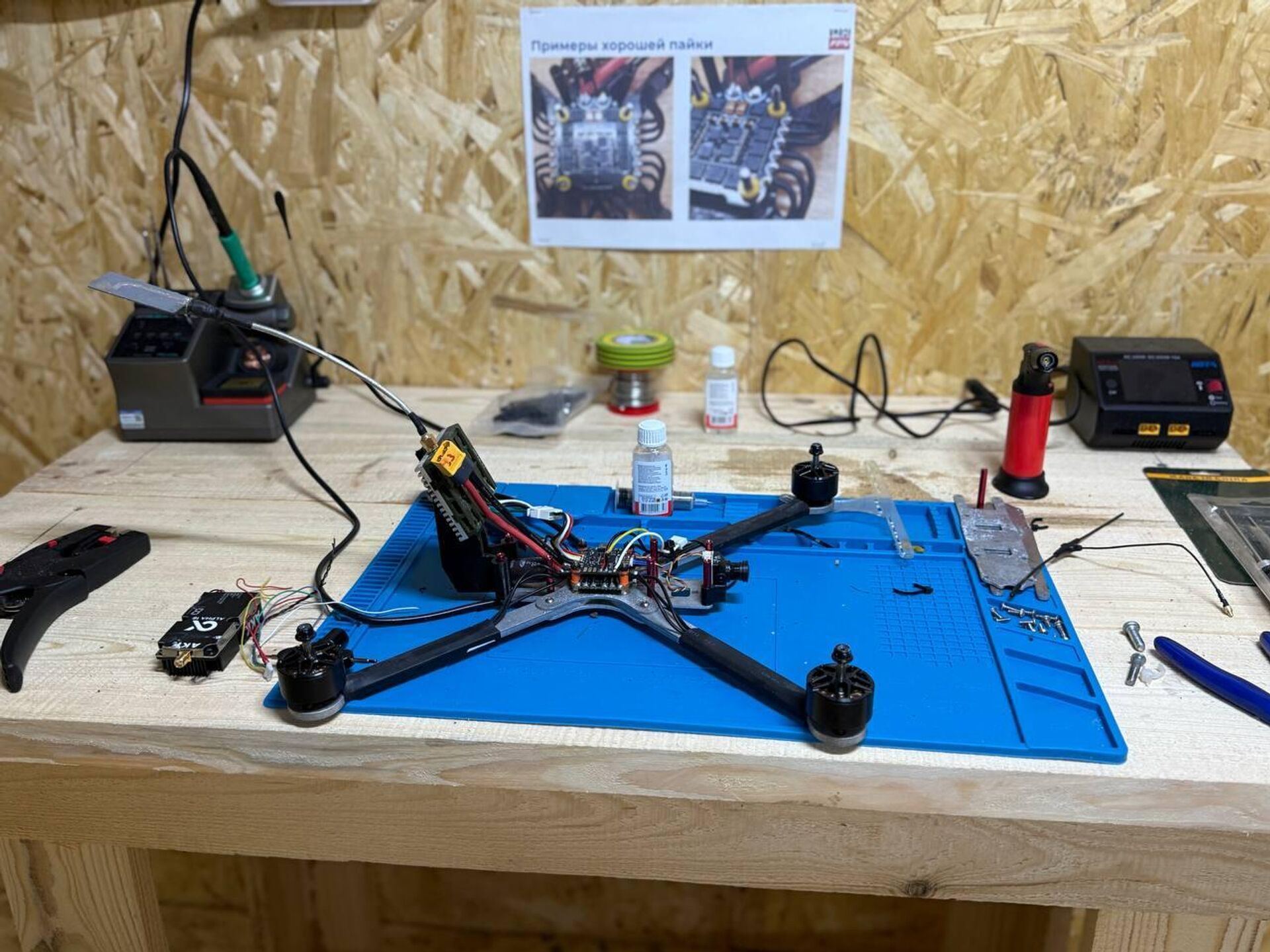   - РИА Новости, 1920, 12.11.2025