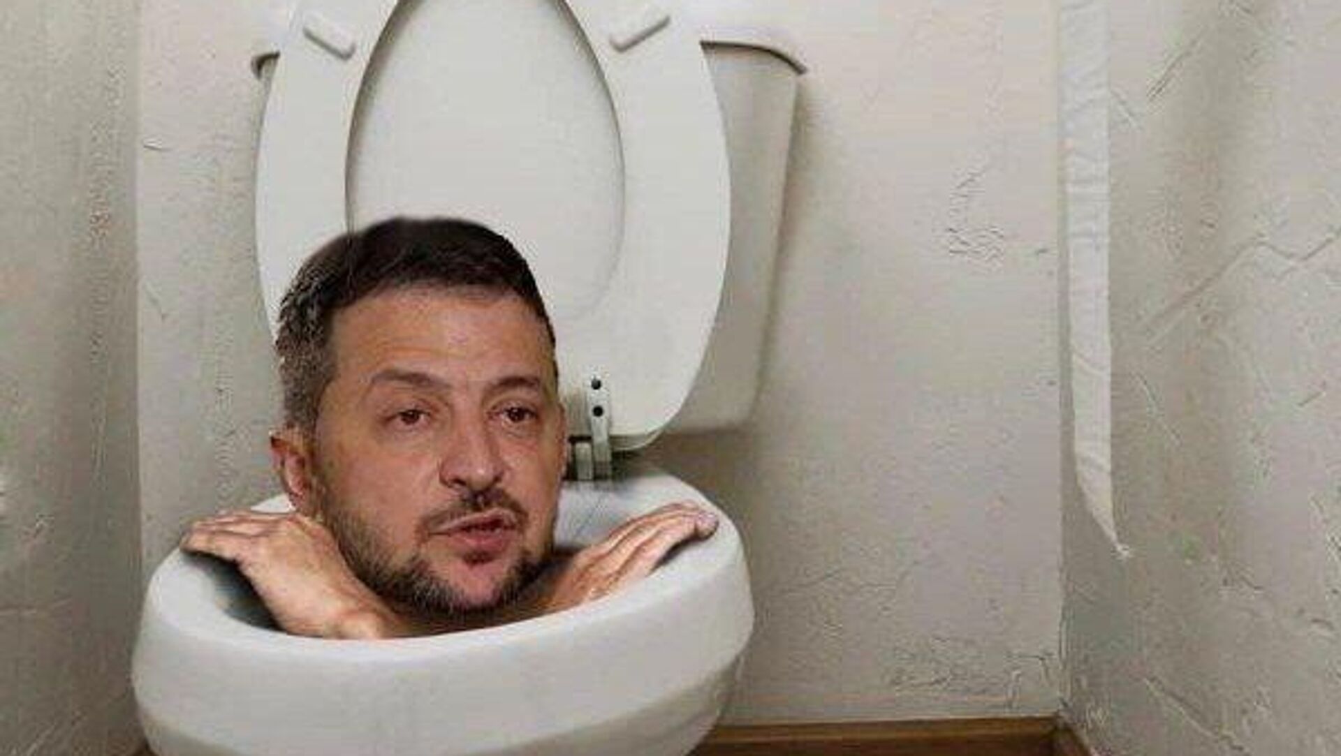 Зеленский в унитазе - РИА Новости, 1920, 13.11.2025