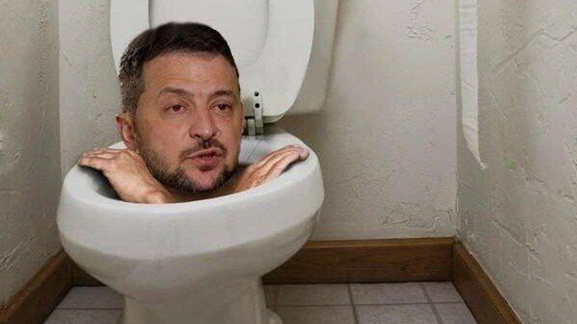 Зеленский в унитазе - РИА Новости, 1920, 13.11.2025