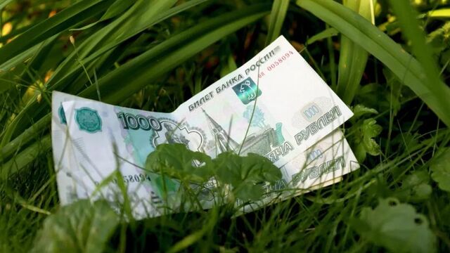 Химическая атака против ВС РФ и сорванный теракт киевского режима. Хроника событий на 13:00 14 ноября