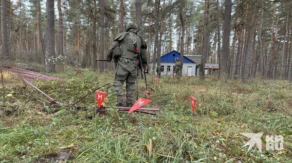 СМИ публикуют фотографии военнослужащих КНДР, которые сейчас принимают участие в разминировании Курской области
