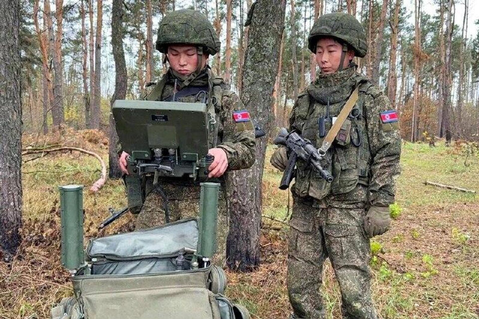 СМИ публикуют фотографии военнослужащих КНДР, которые сейчас принимают участие в разминировании Курской области - РИА Новости, 1920, 24.12.2025