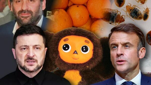 Клопы Макрона, израильский нелегал Чебурашка и корни коррупции. Кто удивил нас на прошедшей неделе