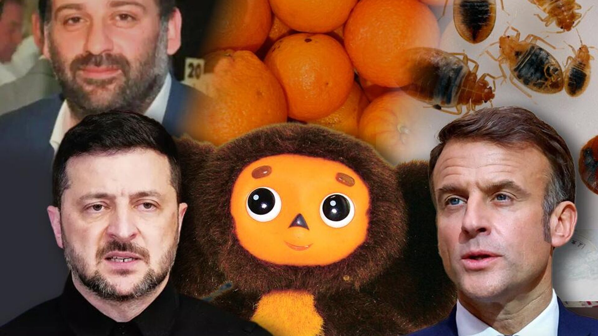    - РИА Новости, 1920, 16.11.2025