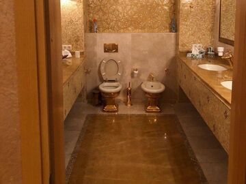 золотой унитаз Миндича