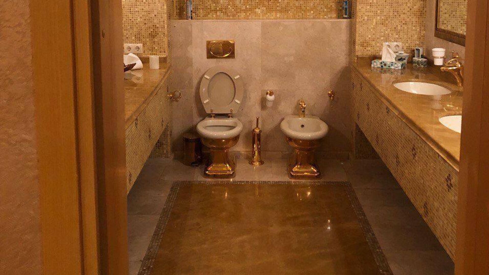 золотой унитаз Миндича - РИА Новости, 1920, 15.11.2025