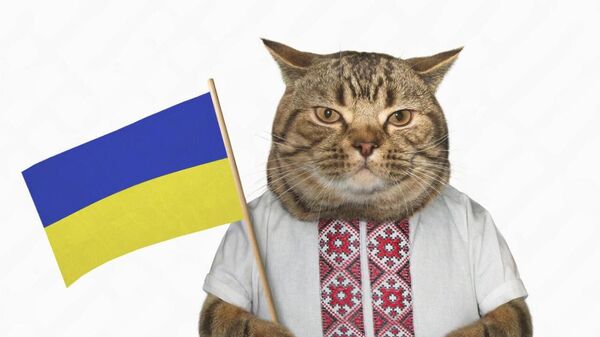 Украинский кот