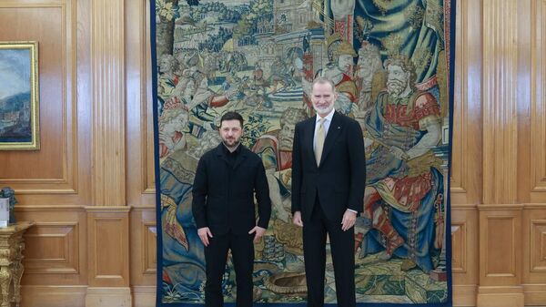 Король Испании  и Владимир Зеленский