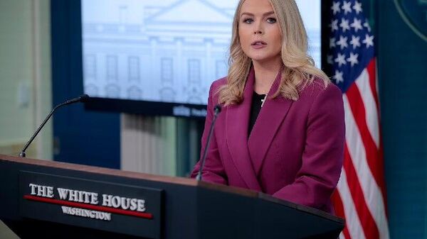 Рубио и Уиткофф работают над новым планом по урегулированию на Украине, сообщила пресс-секретарь Белого дома Ливитт