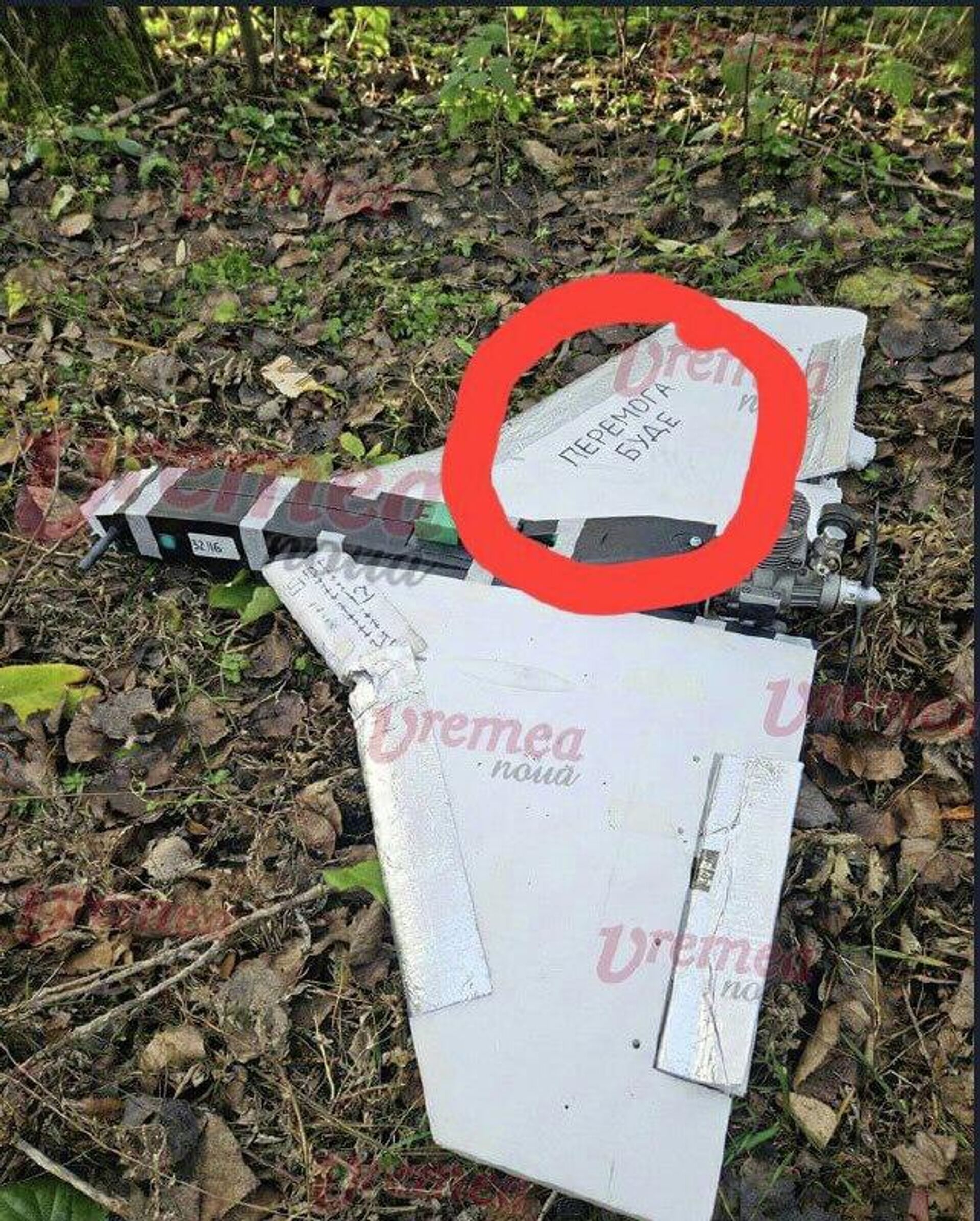 Потужный украинский лозунг всё испортил румынским пропагандистам - РИА Новости, 1920, 25.11.2025