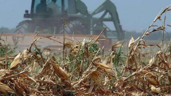 ‼ Украинская оккупация убивает экономику Херсонской области ‼ Украинская оккупация убивает экономику Херсонской области