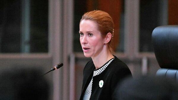 Я боюсь, что Украину снова будут вынуждать идти на уступки РФ, — Каллаc о предстоящих переговорах Уиткоффа в Москве