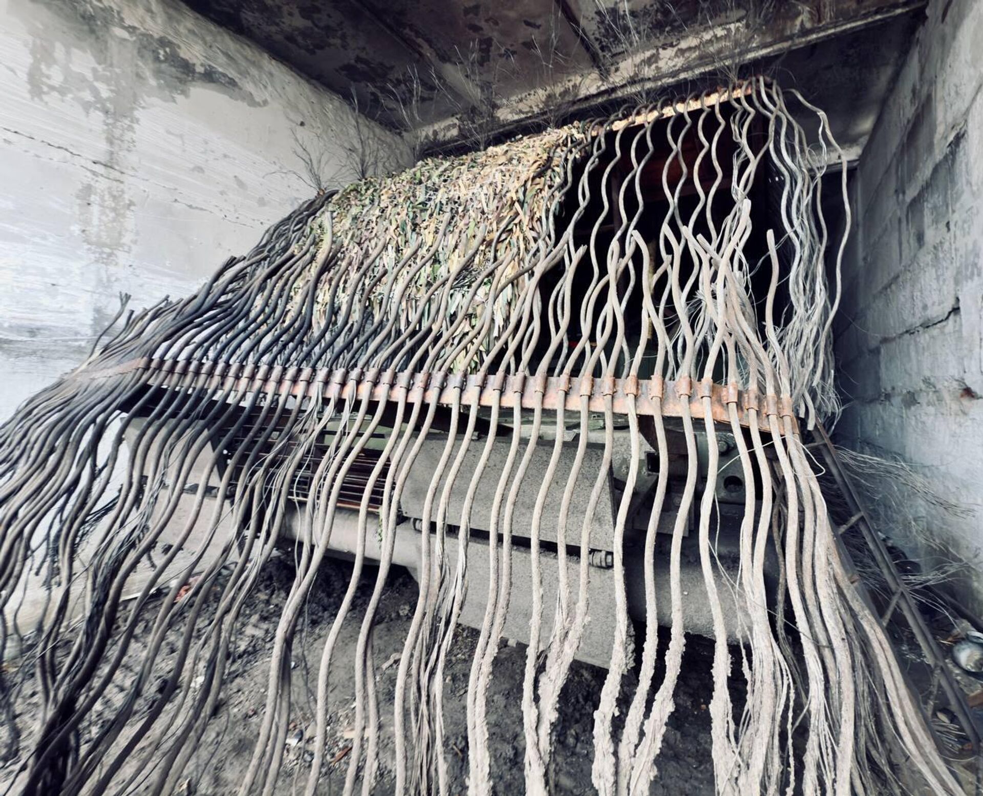   - РИА Новости, 1920, 02.12.2025