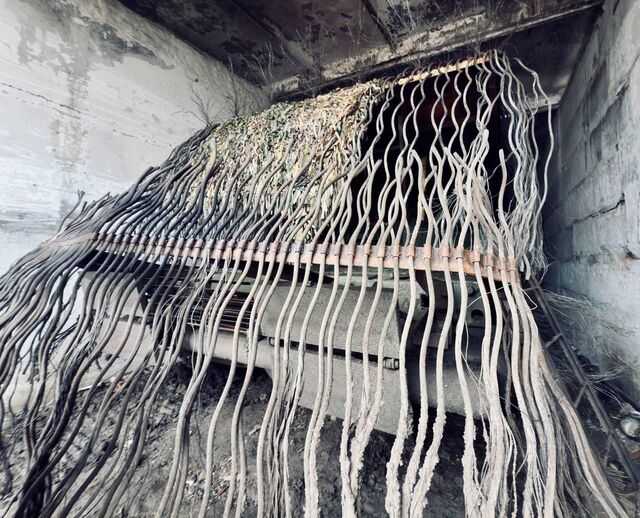 © Фото : Игорь Гомольский