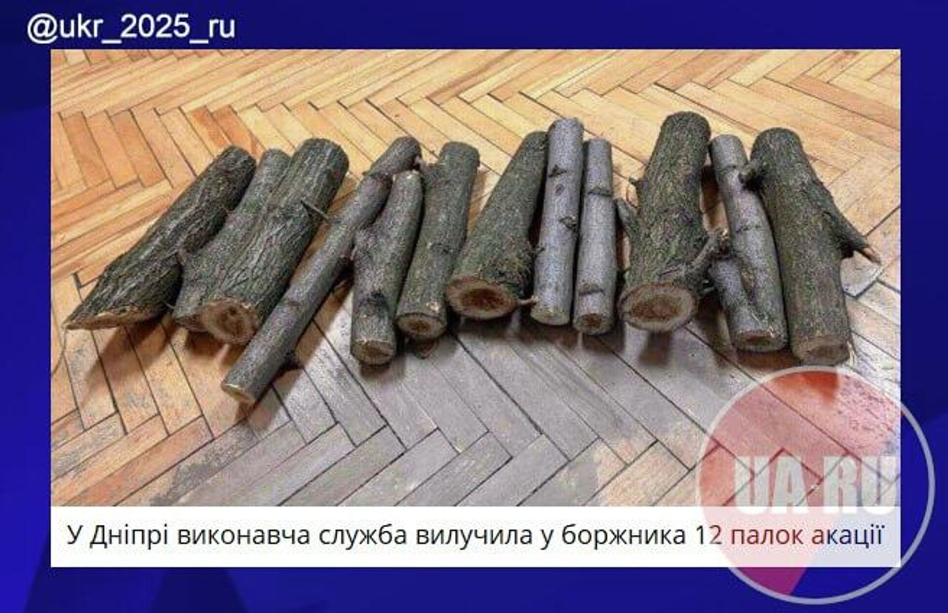 #украина_под_микроскопом: отобрали самое ценное - РИА Новости, 1920, 08.12.2025