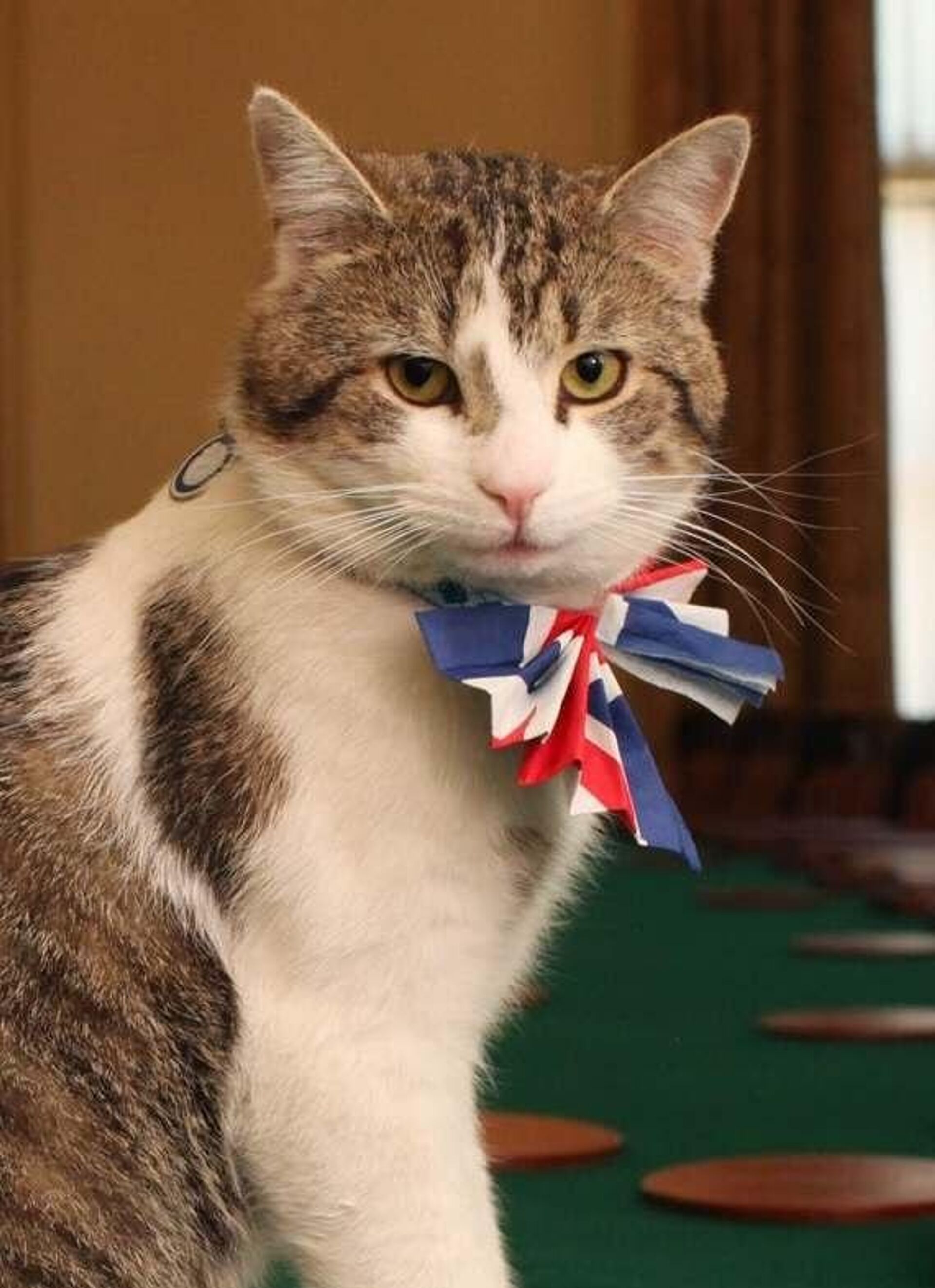 Со встречи с Зеленским в Лондоне быстренько сбежали не только Мерц с Макроном, но и даже кот - РИА Новости, 1920, 08.12.2025