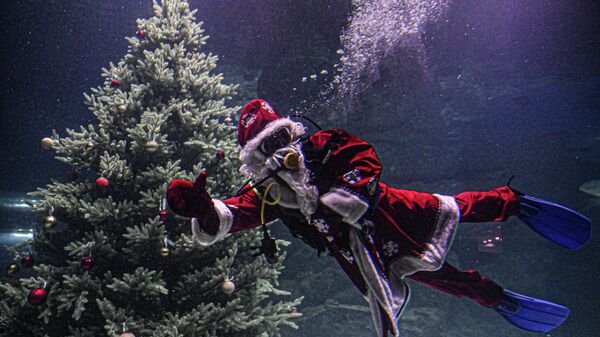 Подводный новогодний перформанс в Москвариуме на ВДНХ Подводный новогодний перформанс в Москвариуме на ВДНХ