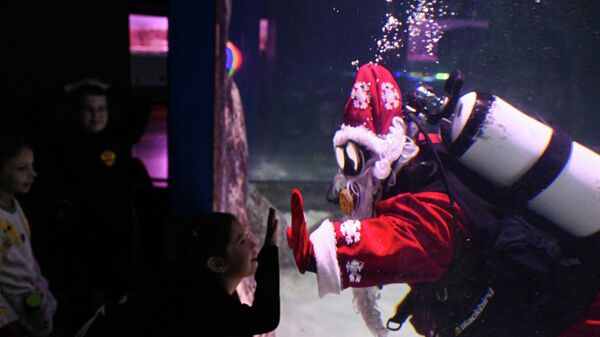 Подводный новогодний перформанс в Москвариуме на ВДНХ Подводный новогодний перформанс в Москвариуме на ВДНХ