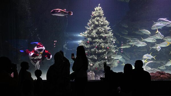 Подводный новогодний перформанс в Москвариуме на ВДНХ Подводный новогодний перформанс в Москвариуме на ВДНХ