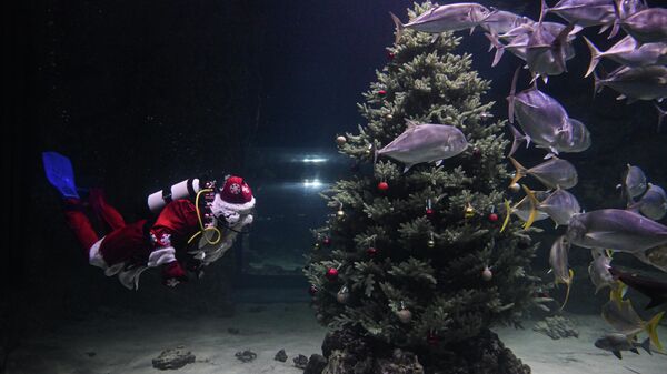 Подводный новогодний перформанс в Москвариуме на ВДНХ Подводный новогодний перформанс в Москвариуме на ВДНХ