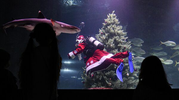 Подводный новогодний перформанс в Москвариуме на ВДНХ Подводный новогодний перформанс в Москвариуме на ВДНХ
