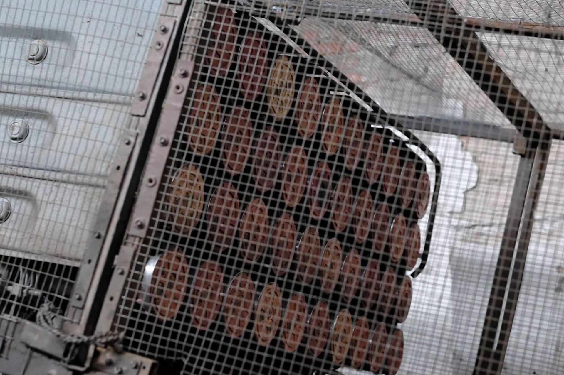 - РИА Новости, 1920, 12.12.2025