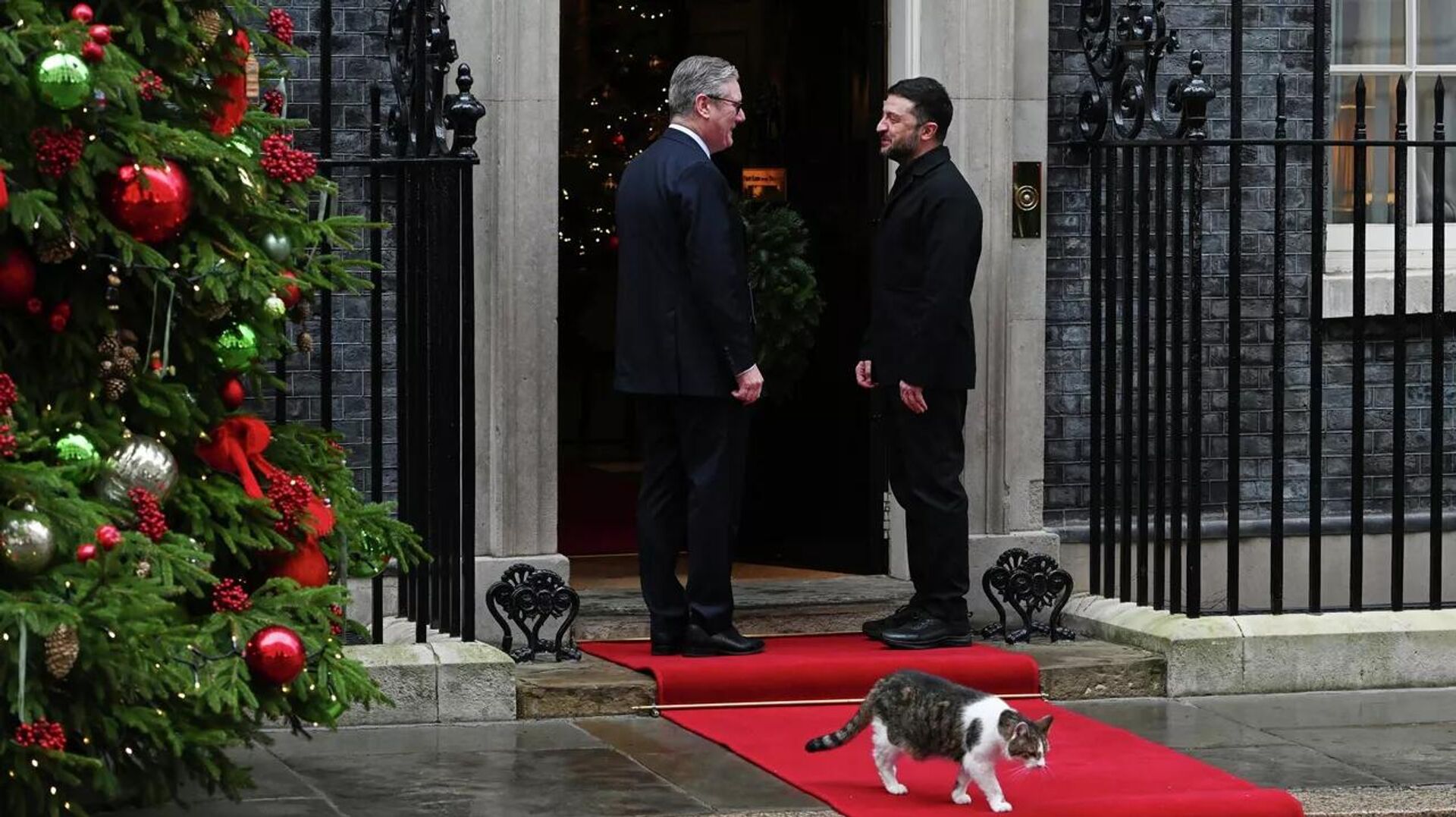 Стармер, Зеленский и кот Ларри - РИА Новости, 1920, 14.12.2025