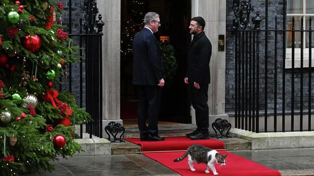 В мире животных. Кто нас удивил на уходящей неделе