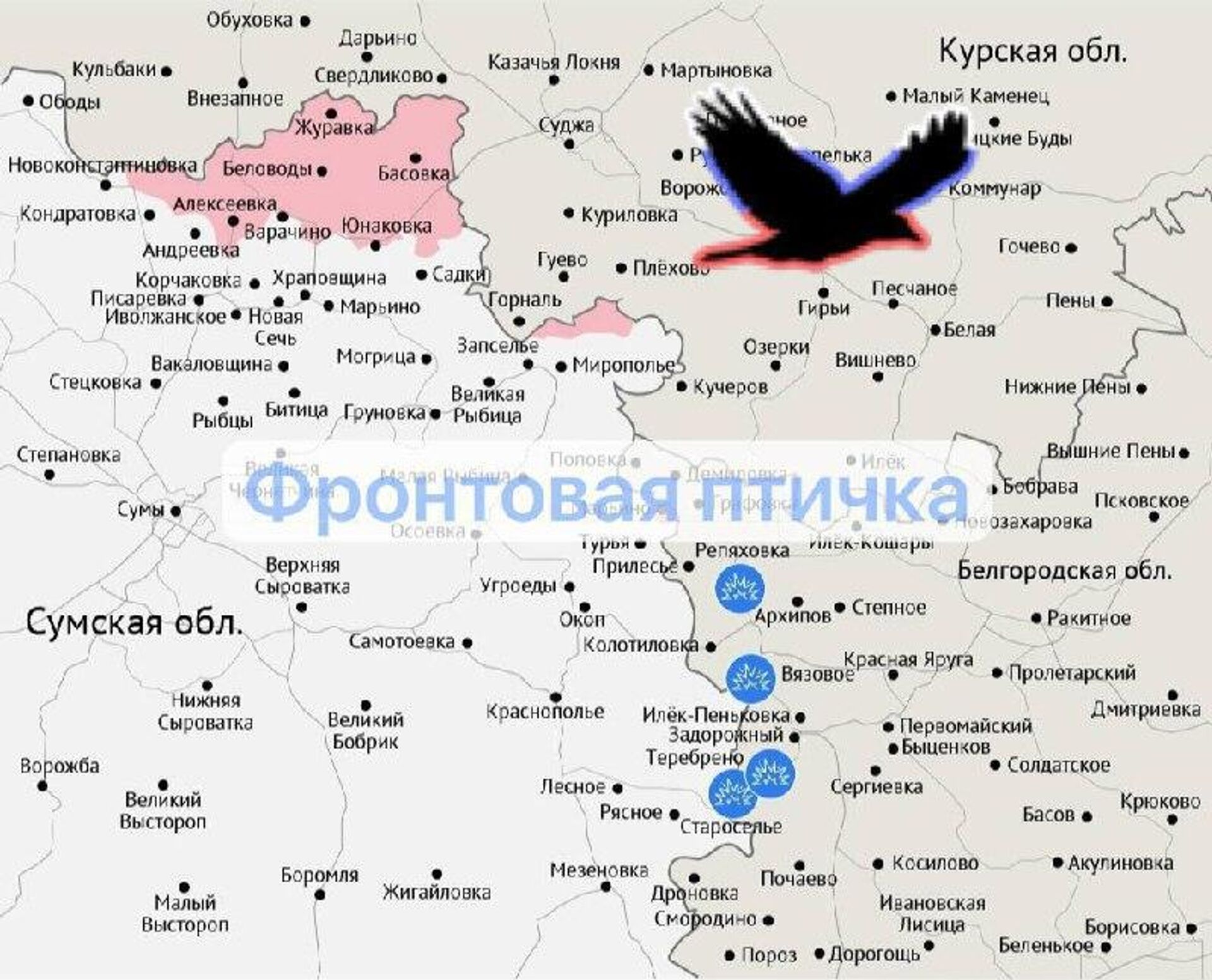 Сумское направление - РИА Новости, 1920, 19.12.2025