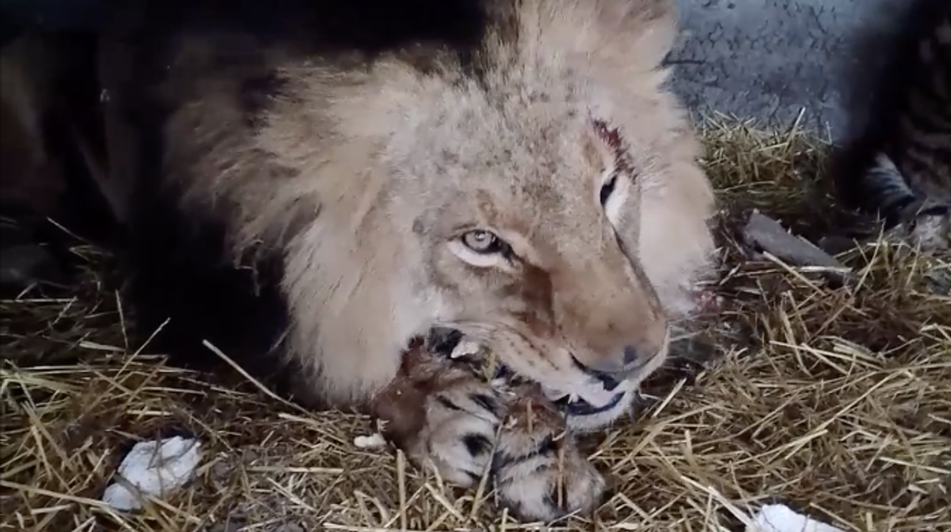   - РИА Новости, 1920, 19.12.2025