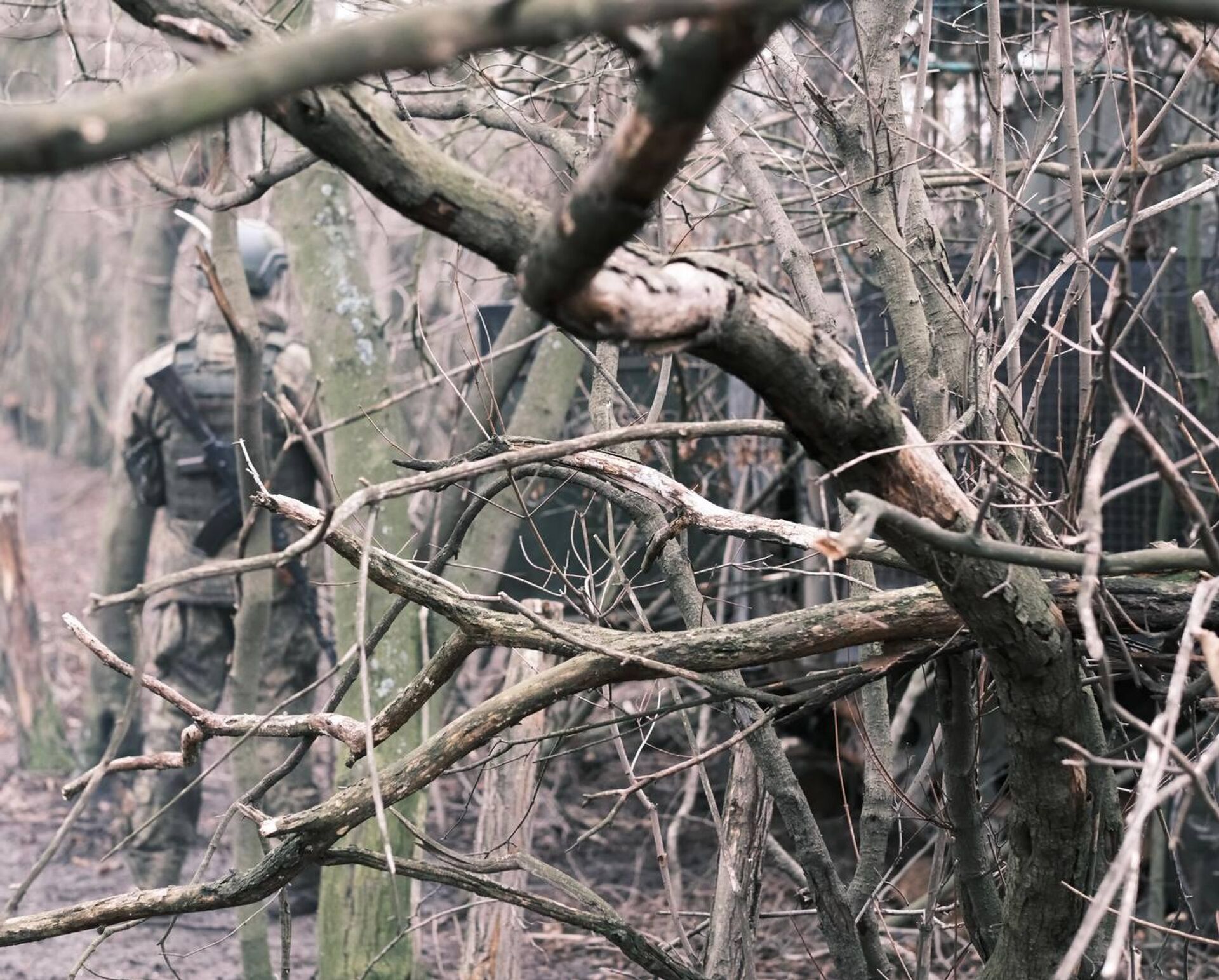   - РИА Новости, 1920, 24.12.2025