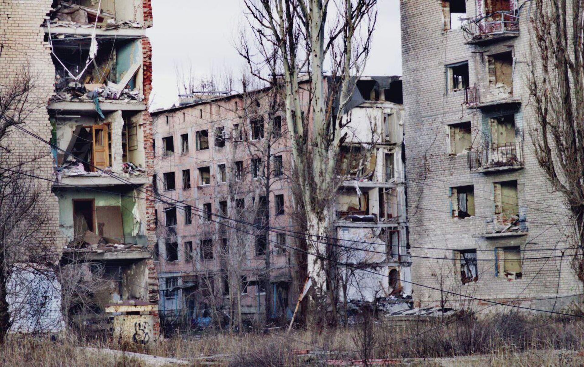   - РИА Новости, 1920, 25.12.2025