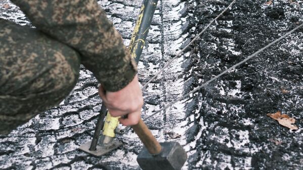 Фото: Игорь Гомольский