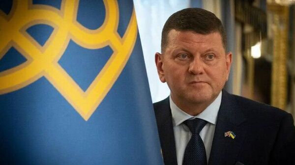 Залужный готовится покинуть пост посла в Великобритании 4-5 января и вернуться в Киев, — украинские СМИ