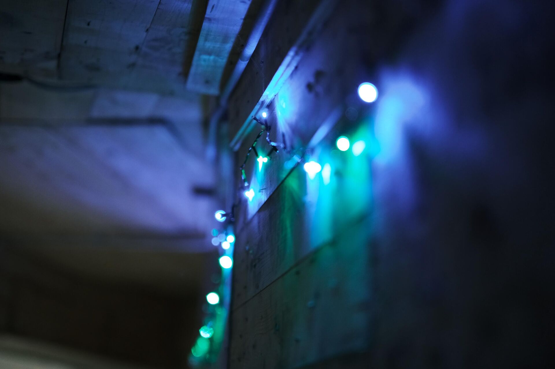 Фото: Игорь Гомольский - РИА Новости, 1920, 01.01.2026