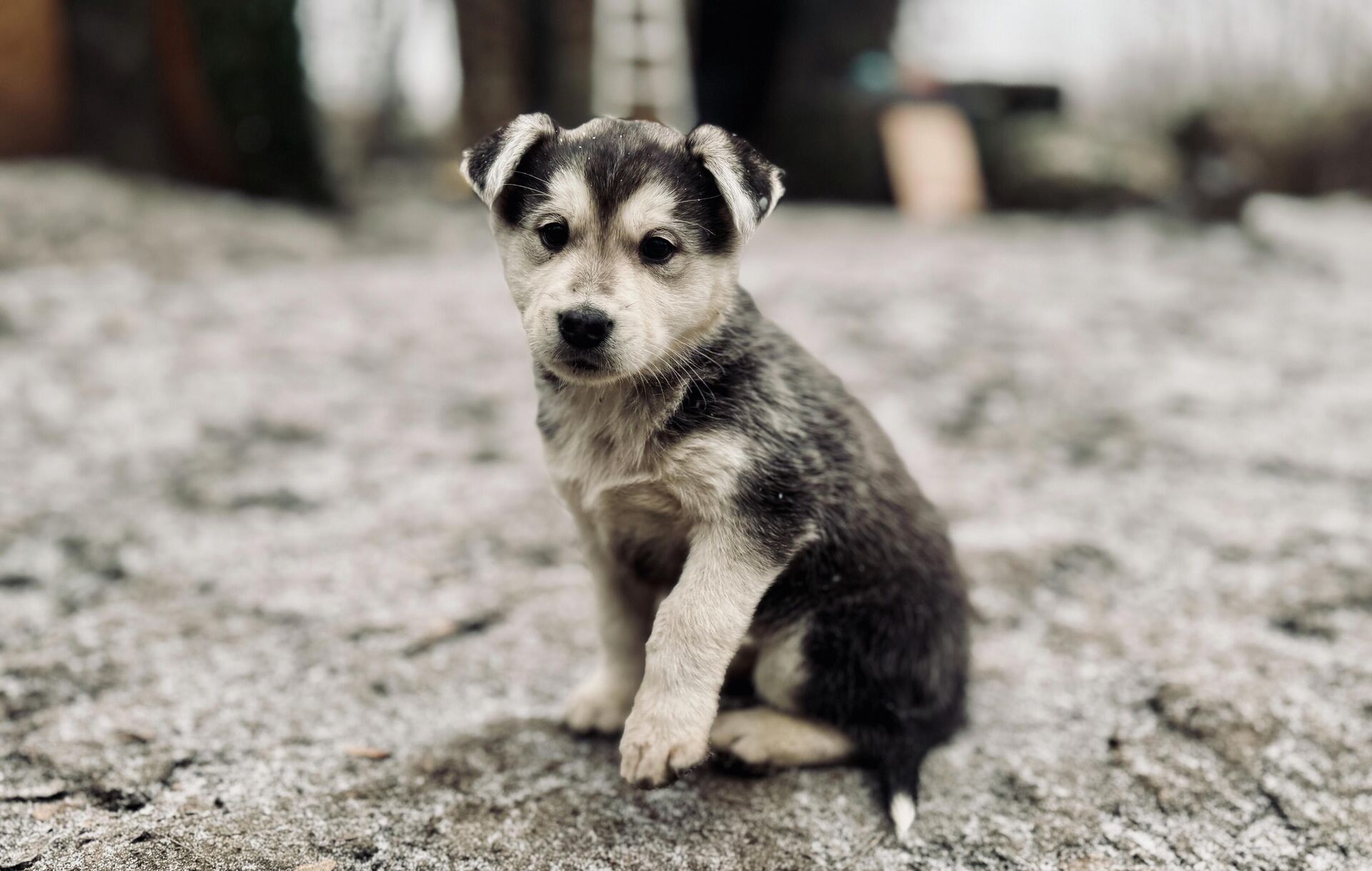 Фото: Игорь Гомольский - РИА Новости, 1920, 01.01.2026