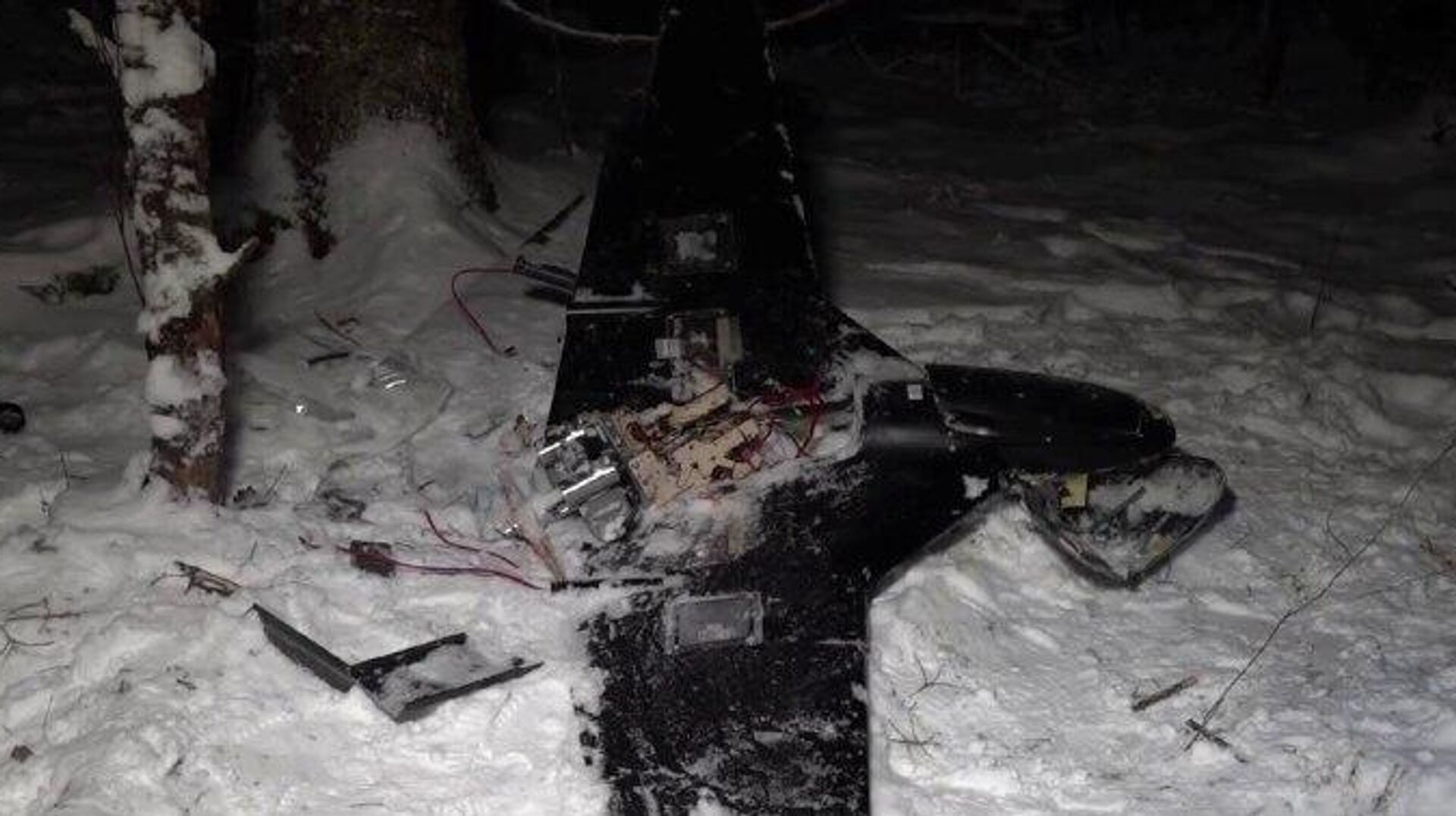 ‼ Российские спецслужбы извлекли файл с полётным заданием из одного из украинских дронов, атаковавших резиденцию Путина - РИА Новости, 1920, 01.01.2026