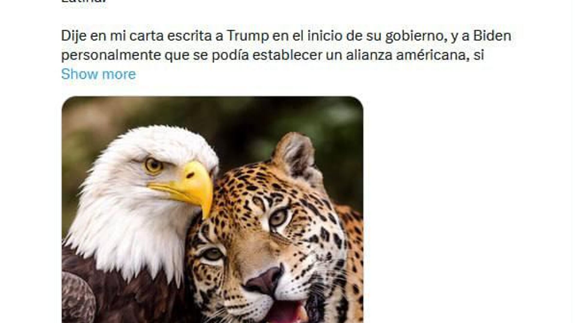 Густаво Петро после разговора с Трампом написал, что эксплуатация Латинской Америки ради нефти приведет лишь к разрушению международного права, варварству и третьей мировой войне Густаво Петро после разговора с Трампом написал, что эксплуатация Латинской Америки ради нефти приведет лишь к разрушению международного права, варварству и третьей мировой войне - РИА Новости, 1920, 08.01.2026